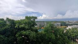 Blk 559 Jurong West Street 42 (Jurong West), HDB Executive #547395301